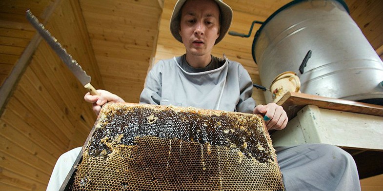 09.09.2016_08_5614_large