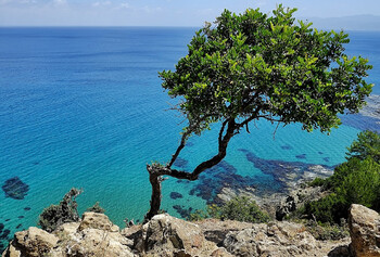 Кипр перенёс открытие въезда для россиян на 1 апреля