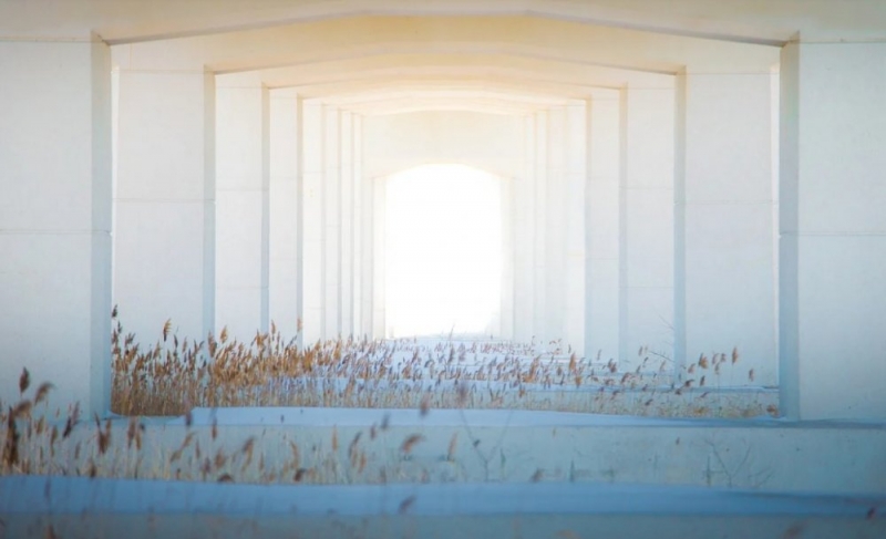 На конкурс «АрхВектор» начался прием заявок