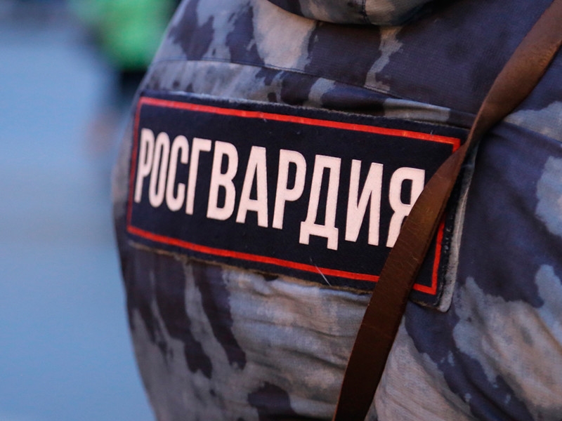 Росгвардия проведет проверку после избиения дубинкой оператора YouTube-канала (ВИДЕО)