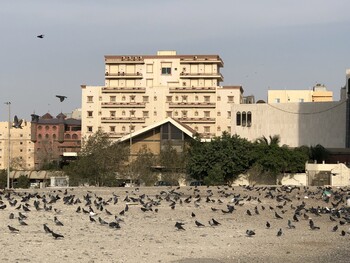 Саудовская Аравия создаст круизную компанию для поддержки туризма