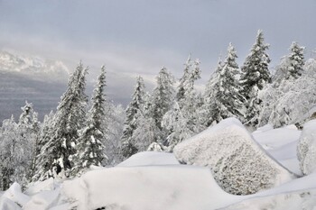 СМИ: на перевале Дятлова пропала группа туристов из Москвы 