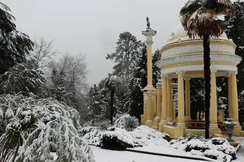 Снегопад повредил редкие растения сочинского дендрария