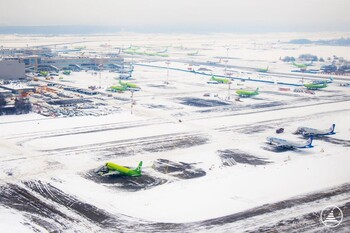 Снегопад привёл к задержке более 60 рейсов в аэропортах Москвы