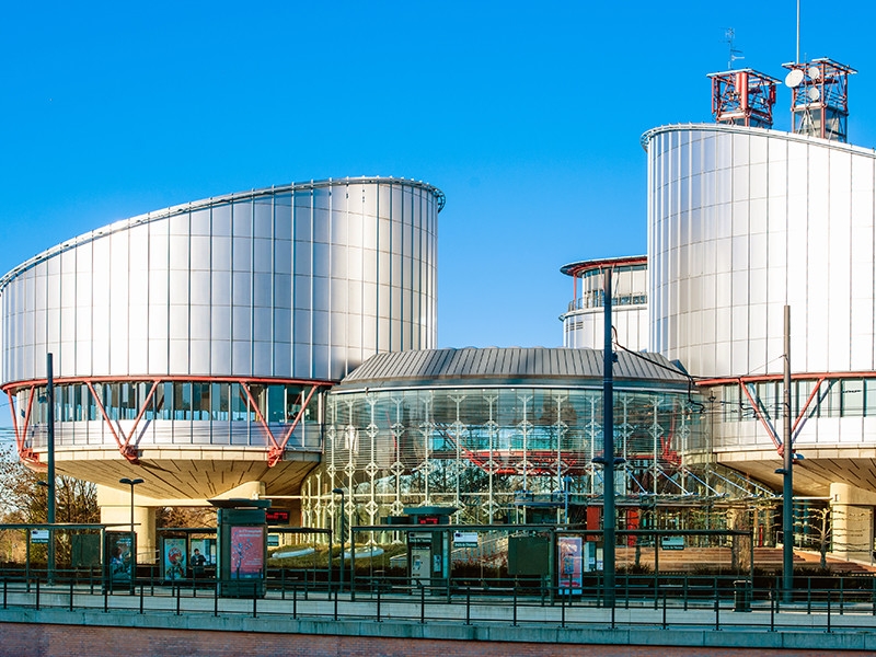 В ЕСПЧ подали первую жалобу на арест за участие в акции в поддержку Навального