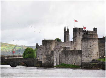 В Ирландии продлили локдаун до 5 апреля