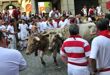 В Испании из-за пандемии вновь отменили фестиваль с быками  Сан-Фермин 