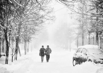 В Крыму введён режим угрозы ЧС из-за снегопада