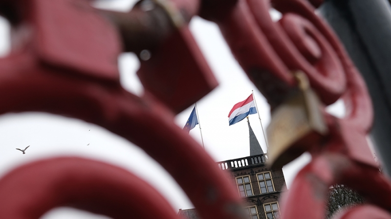 В Москве заявили о «сопротивлении» Нидерландов пересмотру налогового соглашения