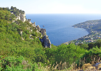 «ИрАэро» полетит летом в Крым из Курска 