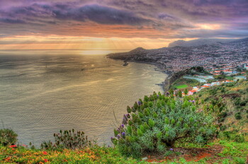 Мадейра открылась для вакцинированных туристов 