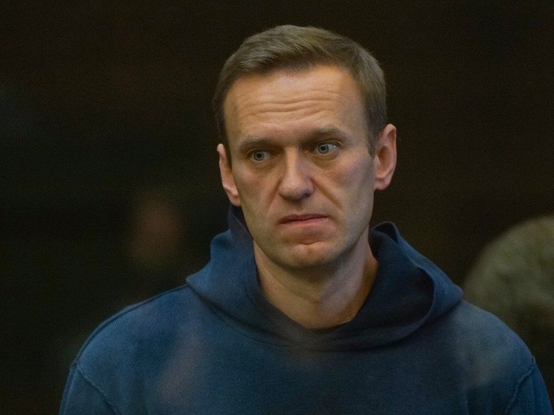 Не менее пяти членов владимирской ОНК, которую Навальный назвал "сборищем жуликов и лжецов", связаны с правоохранительной системой