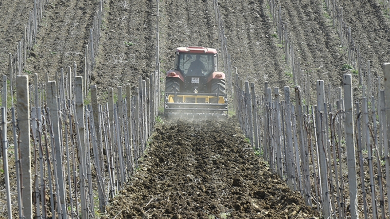 Правительство начало разработку мер для привлечения инвесторов в Крым