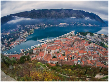 Президент Черногории выступает за введение ПЦР-тестов при въезде