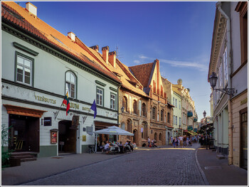 При въезде в Литву с 10 марта потребуется ПЦР-тест 