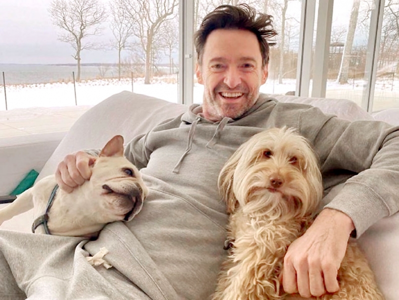 Севший в лужу Хью Джекман боится нового провала