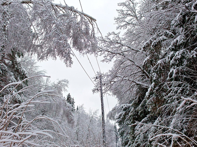 В Дагестане из-за непогоды без электричества остались  более 150 тыс. человек
