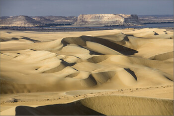 В Египте столкнулись два пассажирских поезда: более 30 погибших 