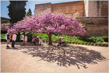 В Испании ограничат передвижение между регионами до Пасхи