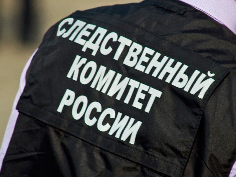 В Волгограде при переработке мусора обнаружили тела новорожденных двойняшек