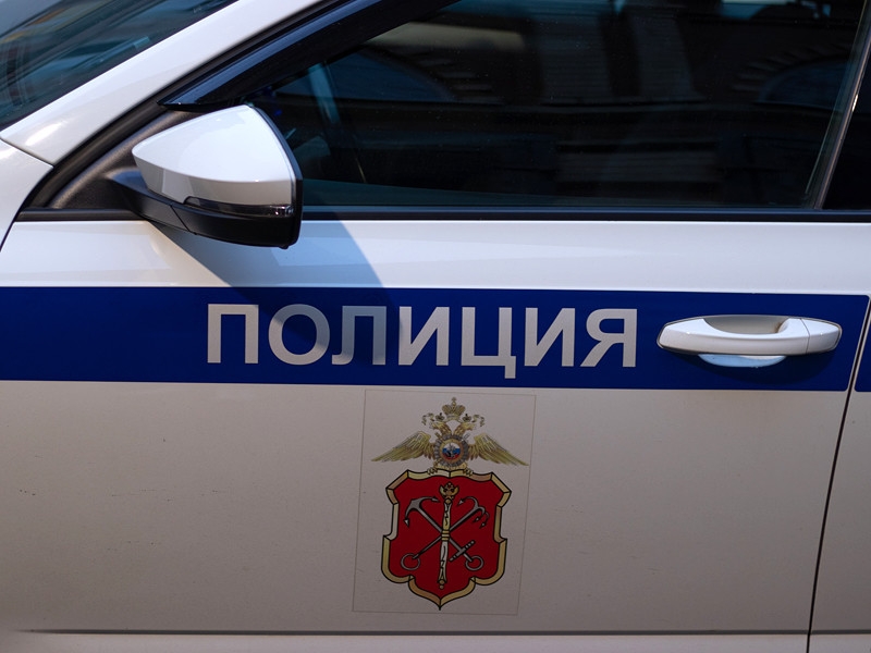 В петербургском отделе полиции умер мужчина. На его лице нашли гематому и кровоподтек
