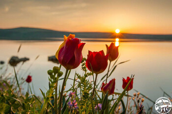 «Аэрофлот» летом удвоит число рейсов из Москвы в Крым