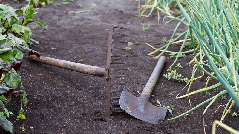 Дачников предупредили о подорожании садового инвентаря