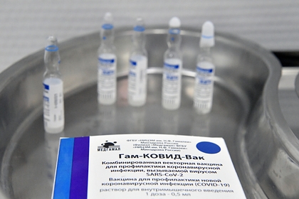 Германия приготовилась к переговорам по покупке «Спутника V»