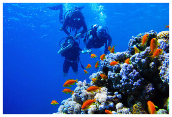 Греция открыла дайверам доступ к затонувшим кораблям и самолётам