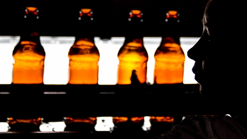 Присоединиться к эксперименту по маркировке пива захотели 80 компаний