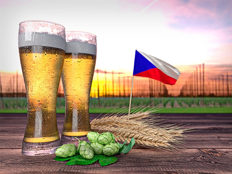 Россия решила наказать Чехию запретом на поставку товаров: россияне лишаться импортного чешского пива