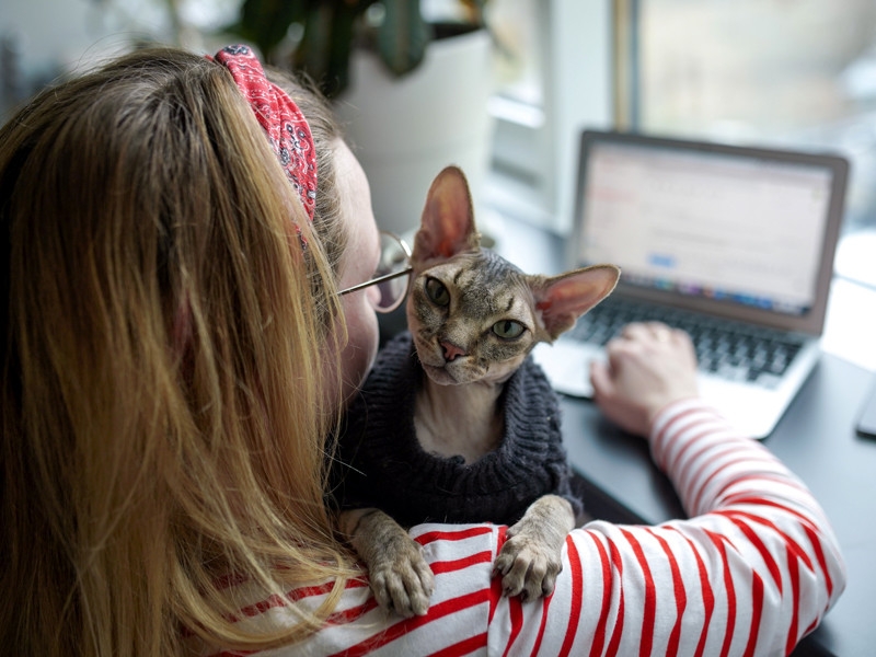 Россияне ежегодно тратят на домашних питомцев 1 млрд долларов