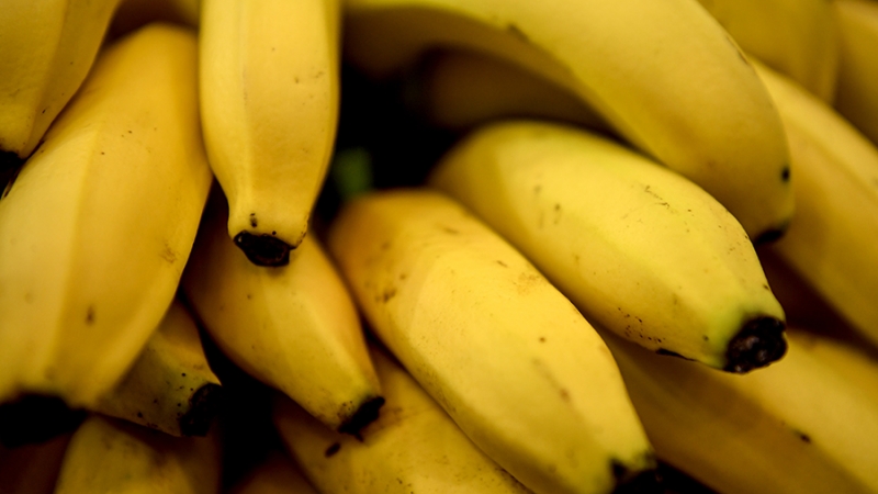 В Эквадоре опровергли сообщения об исчезновении бананов с рынка