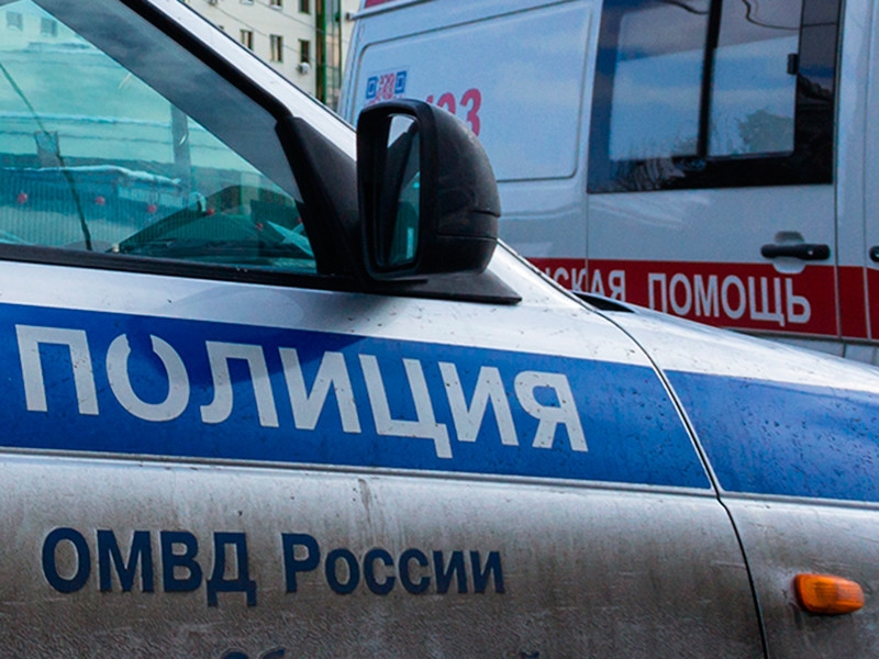 В Москве найден мертвым заслуженный учитель РФ, автор учебников Юрий Дудницын, о пропаже которого сообщали коллеги