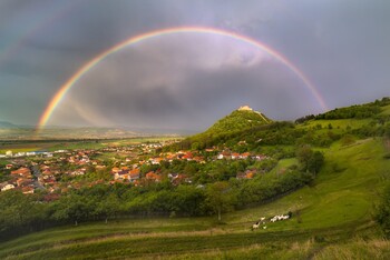 В Румынии продлили режим тревоги в связи с пандемией