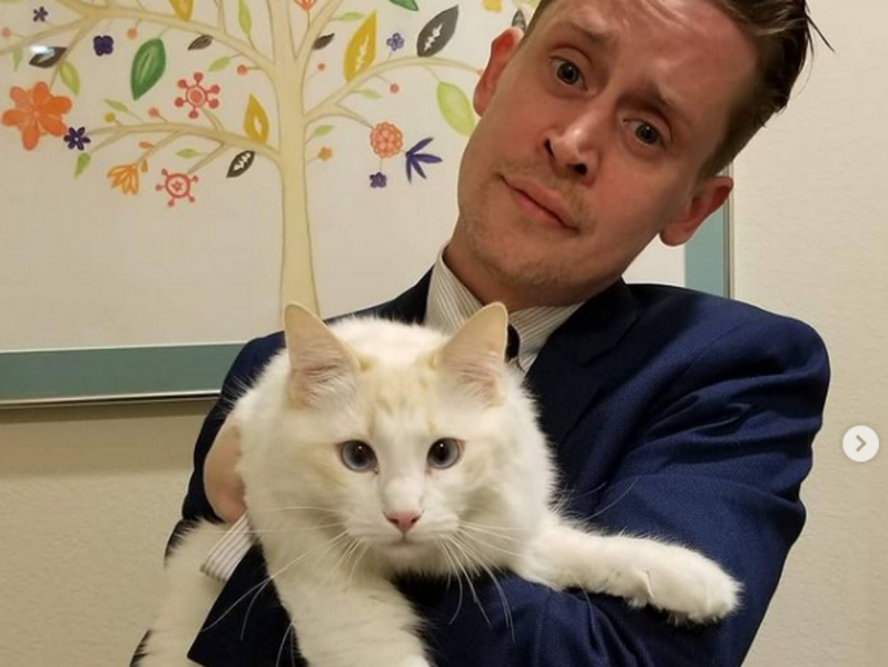 Звезда фильма «Один дома» Маколей Калкин впервые стал отцом