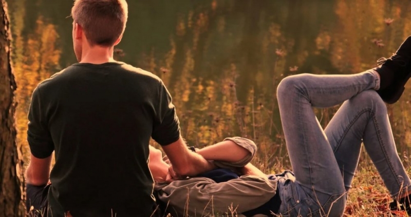 Комплекс отдыха и туризма, две ветлечебницы и завод построят в Московской области