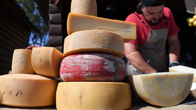 Минпромторг проработает предложения по поддержке импортозамещения