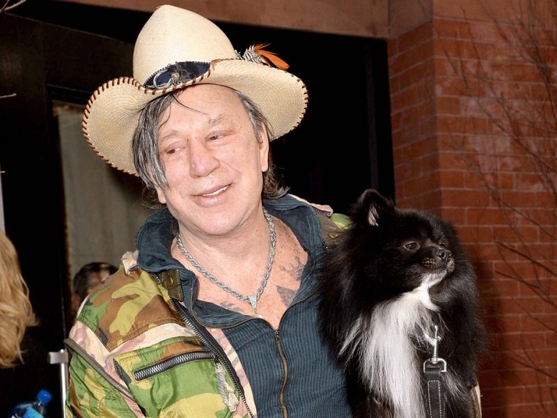 «Отсоси отраву!» Фото Микки Рурка с банками вызвало оторопь