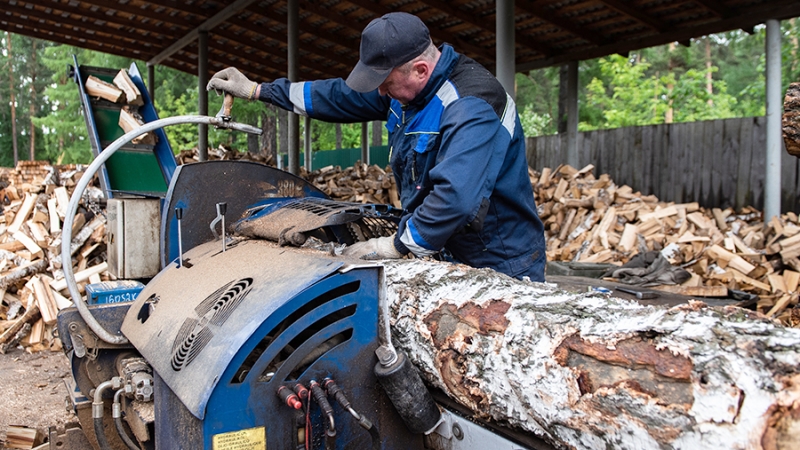 Россия введет пошлину 10% на экспорт отдельных видов древесины