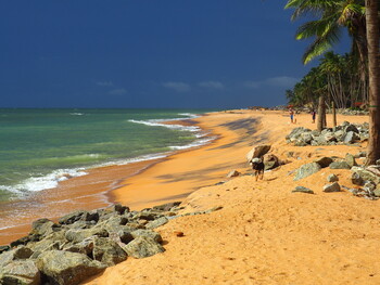 Шри-Ланка вновь открывает границы, но с ограничениями