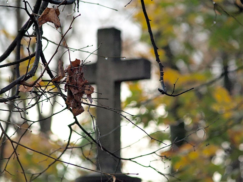 Смертность в Москве в марте на 28% превысила показатель 2020 года