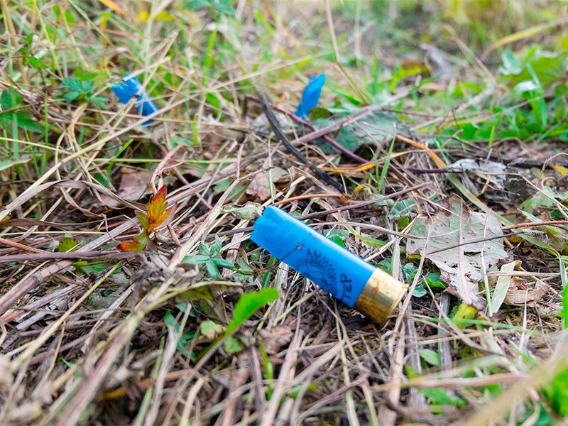 В Ленинградской области мужчина устроил стрельбу в ходе конфликта из-за мангала