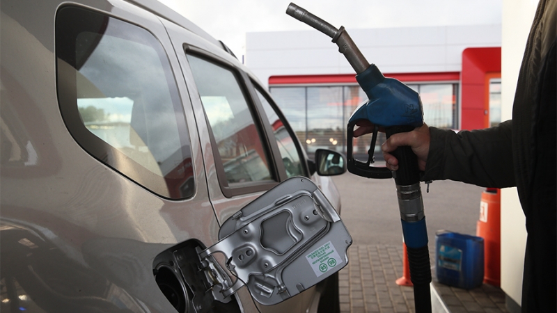 Новак поручил разработать меры по стабилизации ситуации на рынке топлива