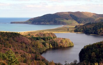 Объединенная дальневосточная авиакомпания начнёт работу в июле