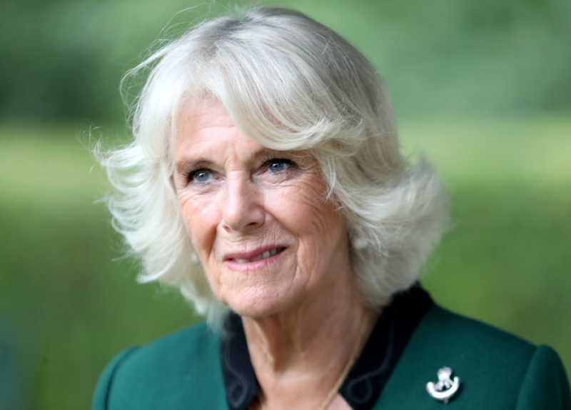 Принц Чарльз пошел на хитрость, чтобы сделать Камиллу Паркер-Боулз королевой