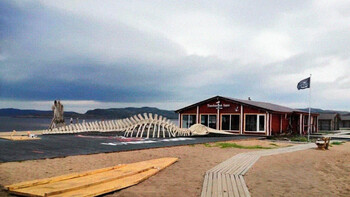 Скелет кита из «Левиафана» вернули в Териберку 