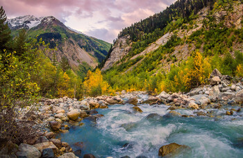 В Грузии спасли 7 туристов, заблудившихся в лесу 
