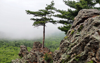 В Хабаровском крае во время рафтинга погибла туристка 