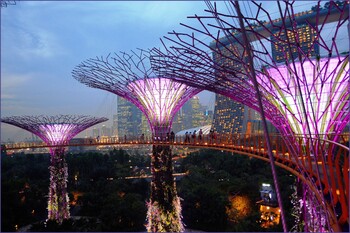 В Сингапуре открываются рестораны и спортзалы